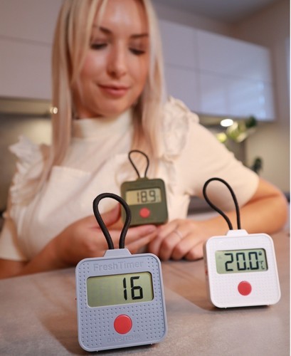 Thermometer kühlschrank - thermometer,